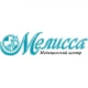 Мелисса — Минск