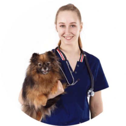 Павлова Алеся Сергеевна