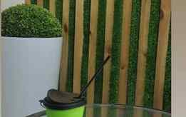 Психолог Елена Замостоцкая