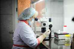 Гомельский областной диагностический медико-генетический центр с консультацией «Брак и семья»